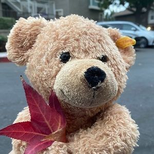 Meet your Posher, Ulyana